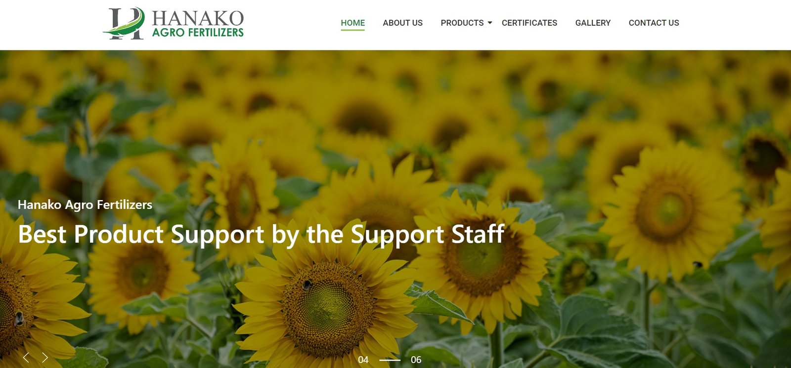 best website design company in India